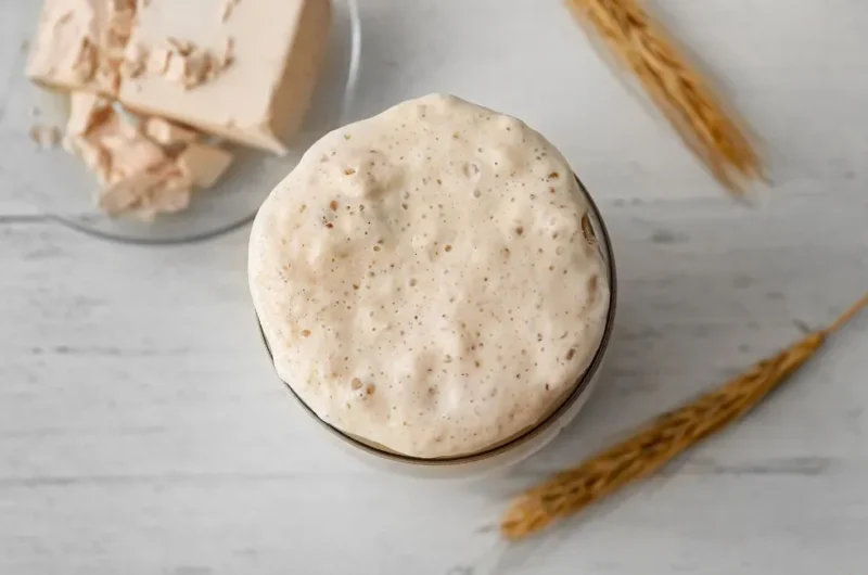 Receita de Fermento Natural: Guia Completo e Fácil 4 Receita de Fermento Natural: Guia Completo e Fácil