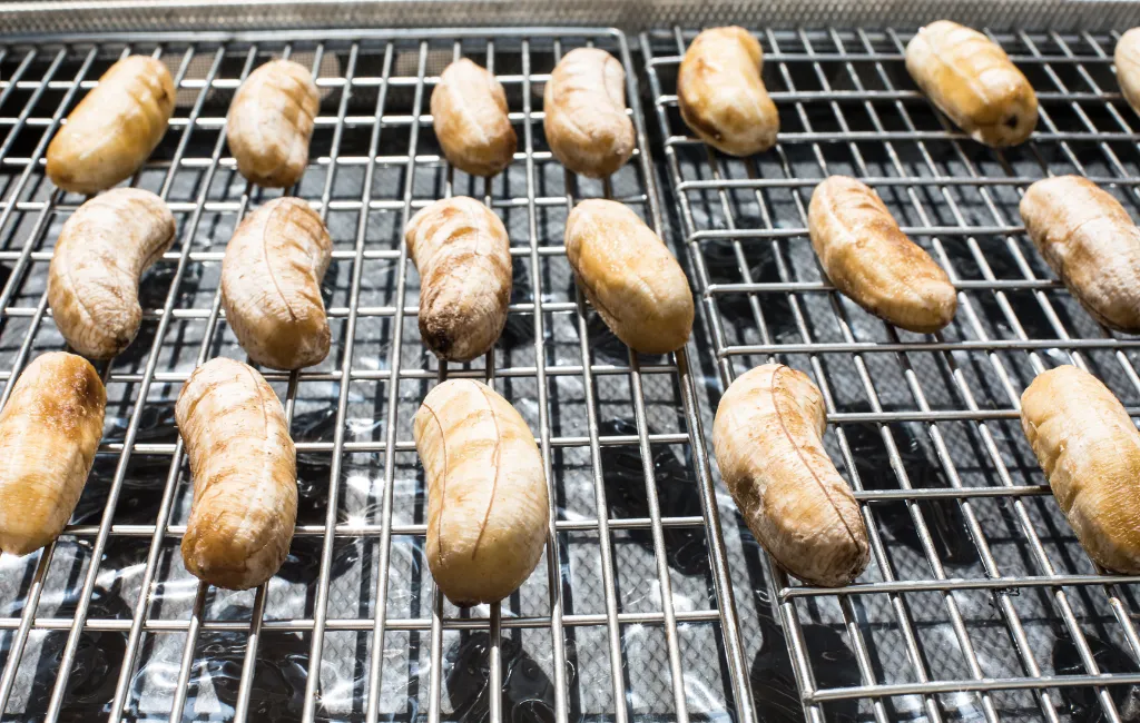 Banana Passa para Vender: Receita Simples e Lucrativa! 1 Banana Passa